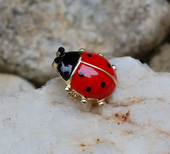 Brošňa lienka červená čierna strieborná