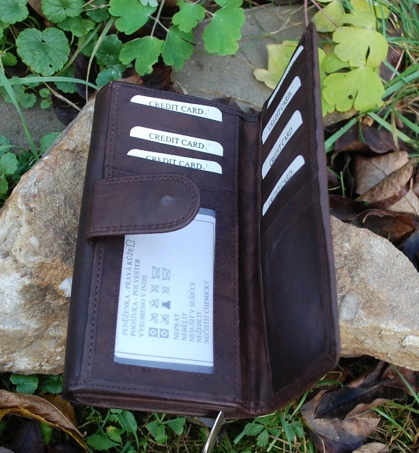 Dámska peňaženka hnedá kožená oddelenia na karty Loranzo