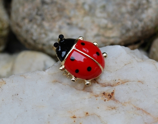 Brošňa lienka červená čierna zlatá